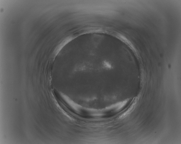 X0000071781377200606301209