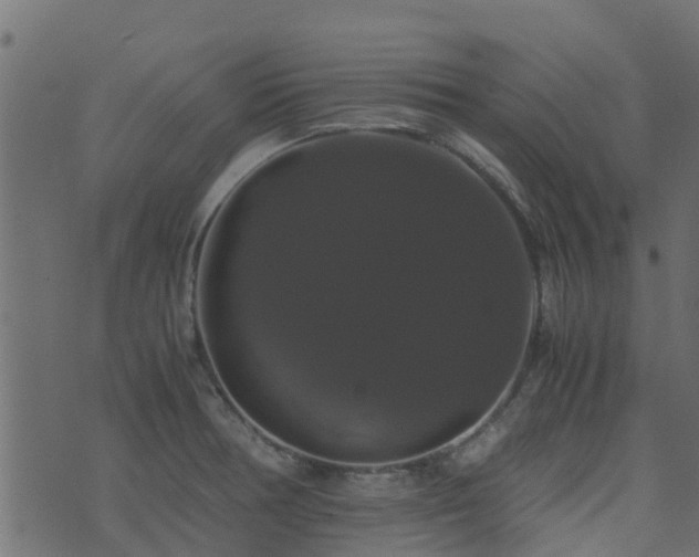 X0000071781378200606301209