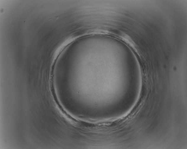 X0000071781379200606301209