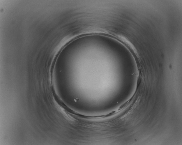 X0000071781380200606301209