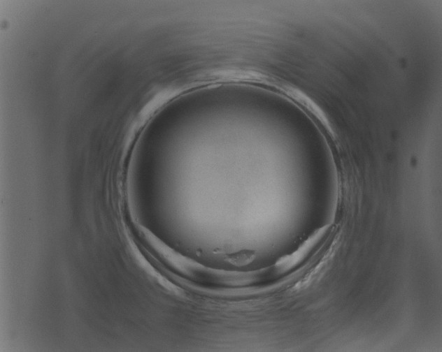 X0000071781381200606301209