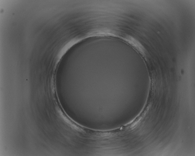 X0000071781382200606301209