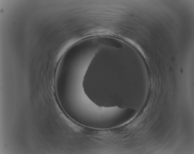 X0000071781383200606301209