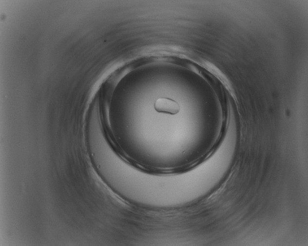 X0000071781384200606301209