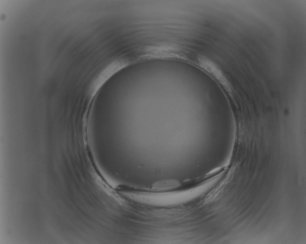 X0000071781386200606301209