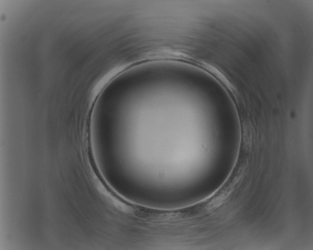 X0000071781387200606301209