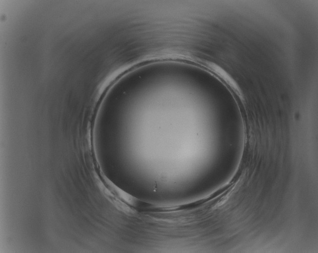 X0000071781388200606301209