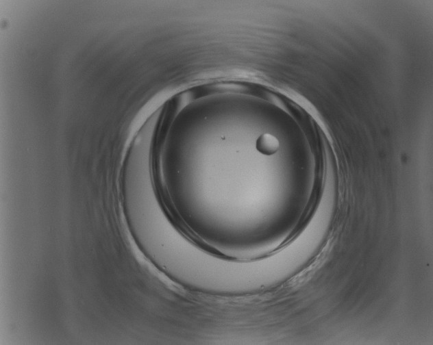 X0000071781389200606301209