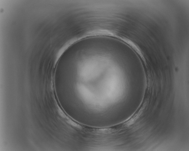 X0000071781390200606301209