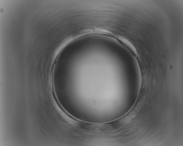 X0000071781391200606301209