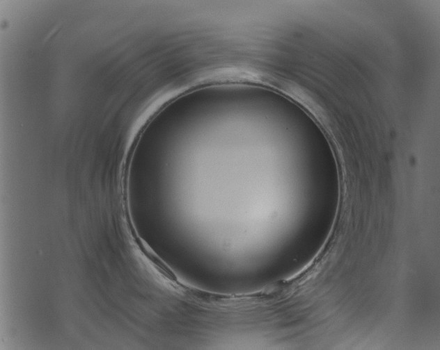 X0000071781392200606301209