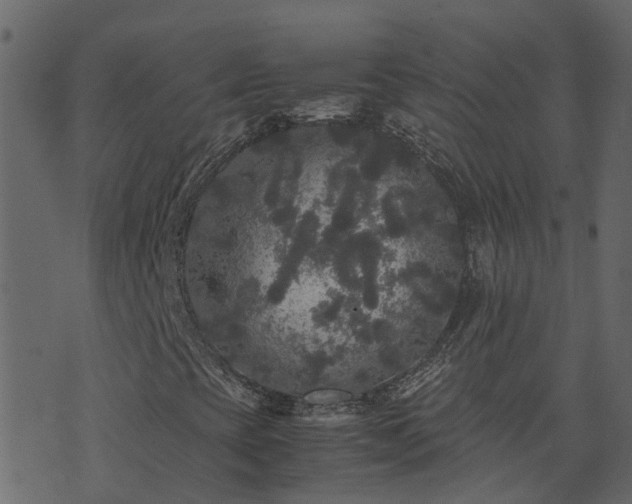 X0000071781393200606301208