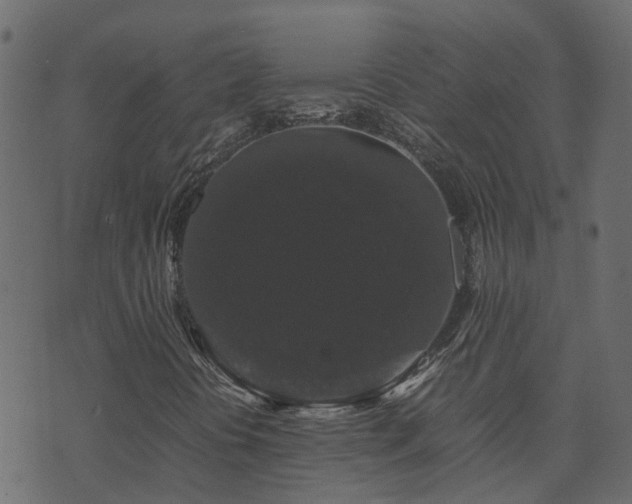 X0000071781394200606301208