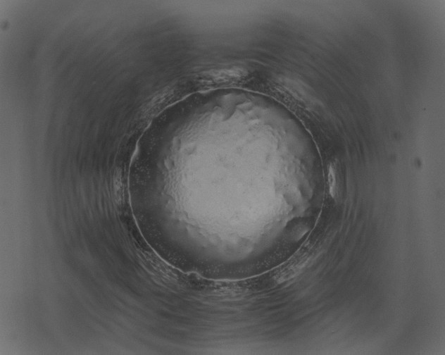 X0000071781395200606301208