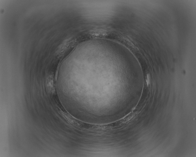 X0000071781396200606301208