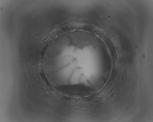 X0000071781397200606301208