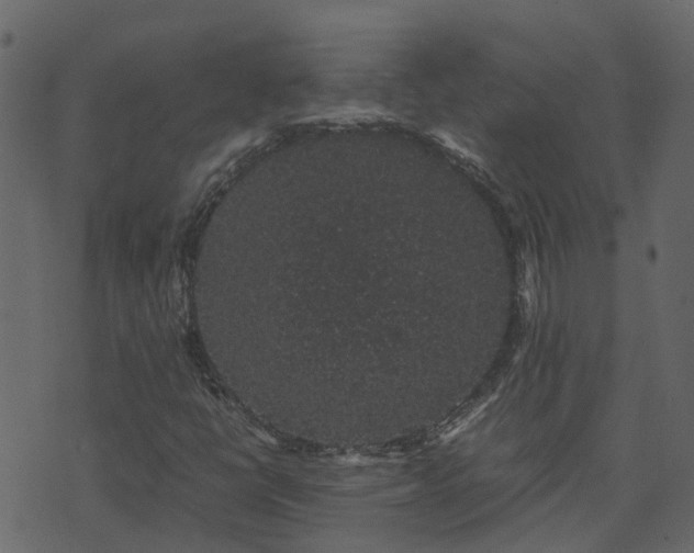 X0000071781398200606301208