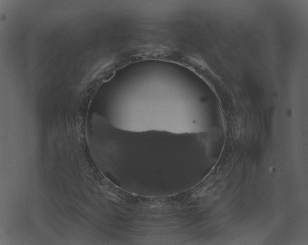 X0000071781399200606301208