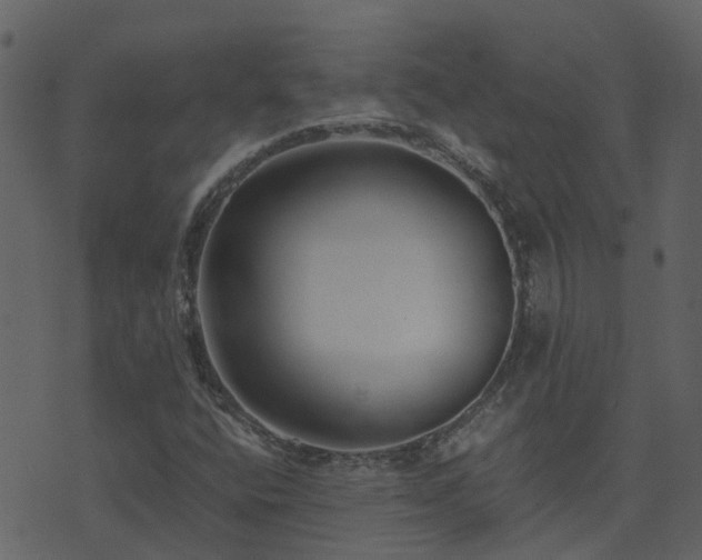 X0000071781400200606301208