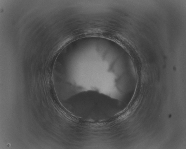 X0000071781401200606301208