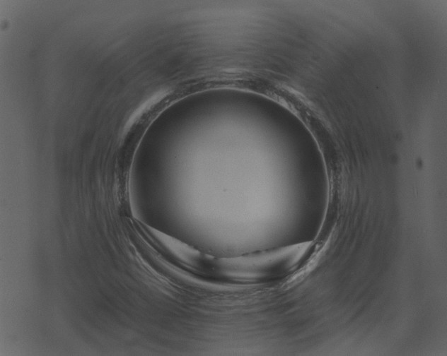 X0000071781402200606301208