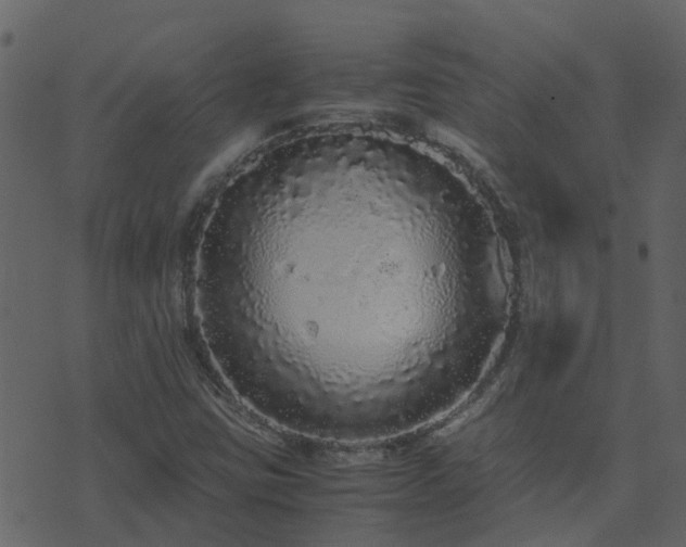 X0000071781403200606301208