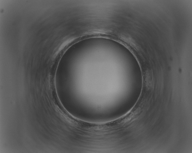 X0000071781404200606301208