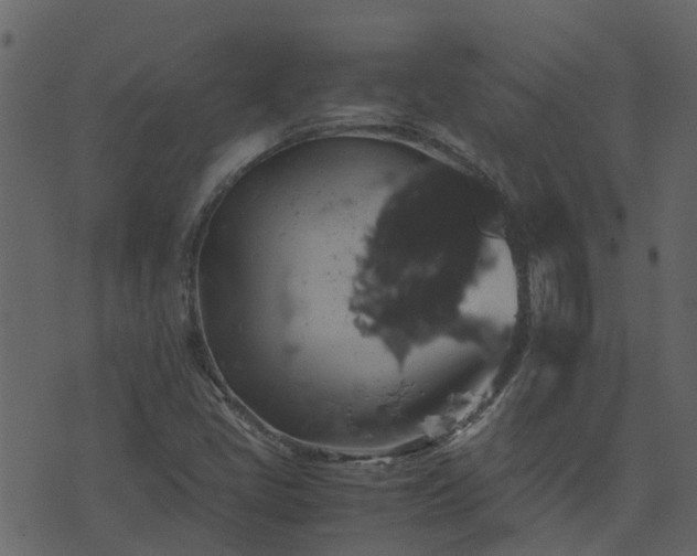 X0000071781405200606301208