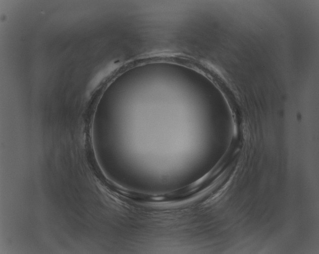 X0000071781406200606301208