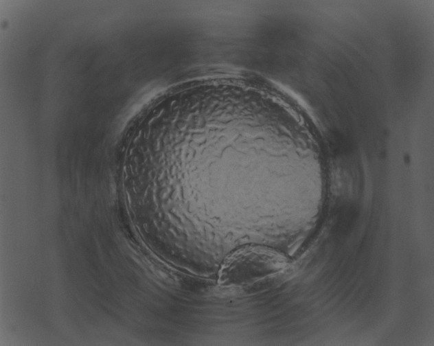 X0000071781407200606301209