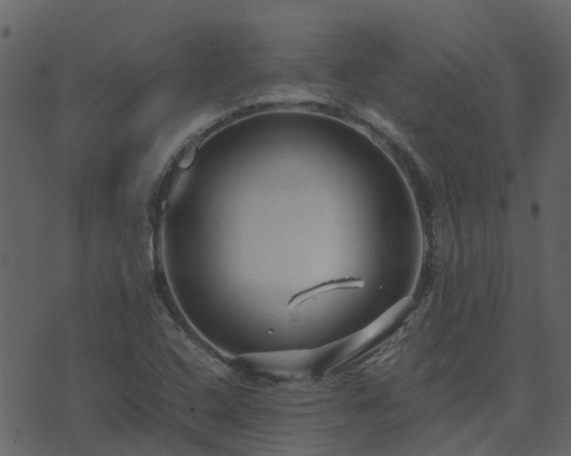 X0000071781408200606301209