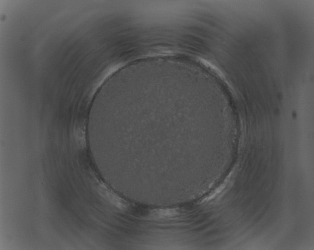 X0000071781409200606301209