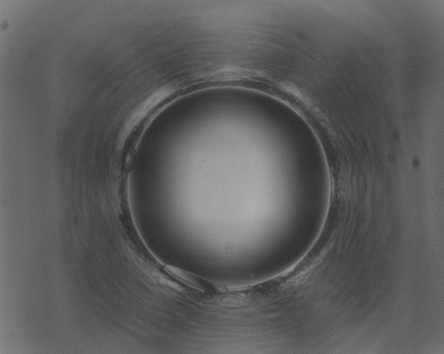 X0000071781410200606301209