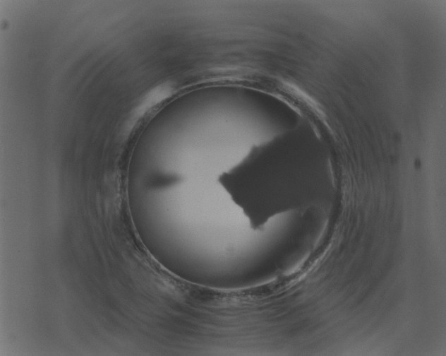 X0000071781411200606301209