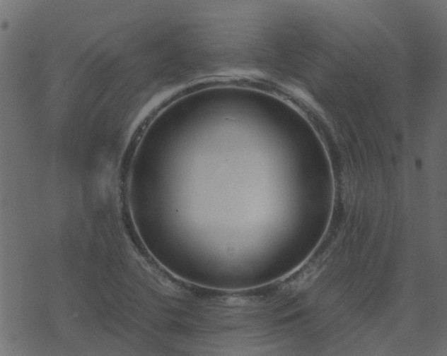 X0000071781412200606301209