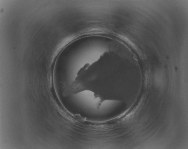 X0000071781413200606301209