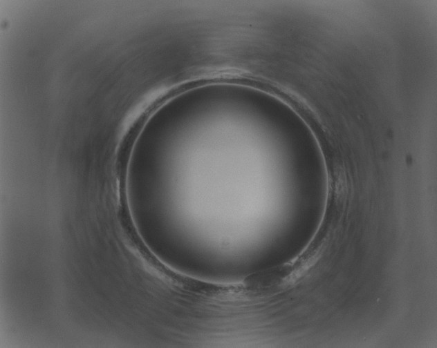 X0000071781414200606301209