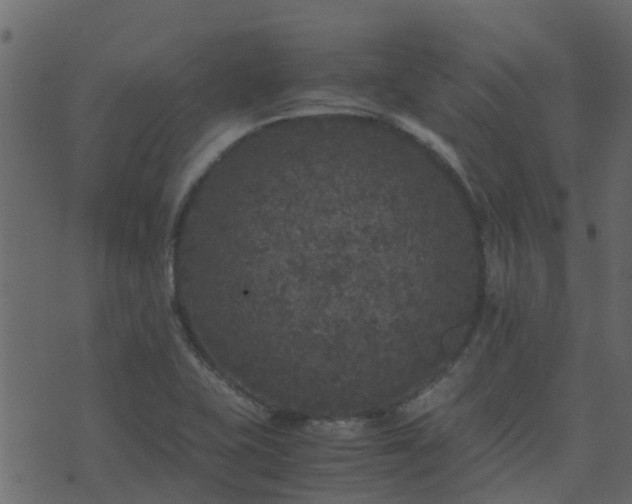 X0000071781415200606301209