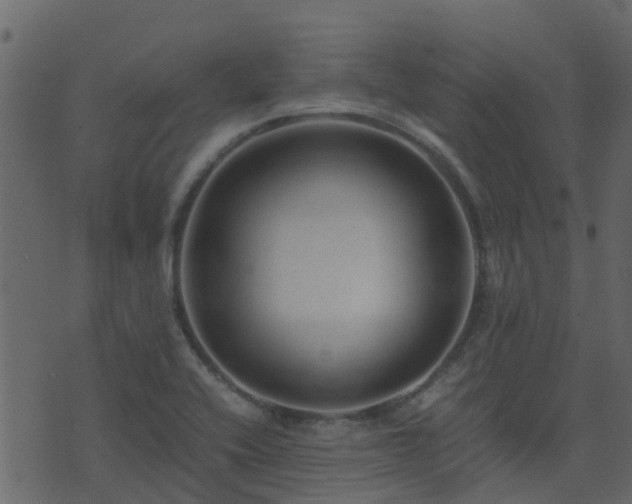 X0000071781416200606301209