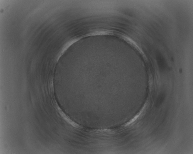 X0000071781417200606301209