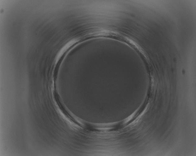 X0000071781418200606301209