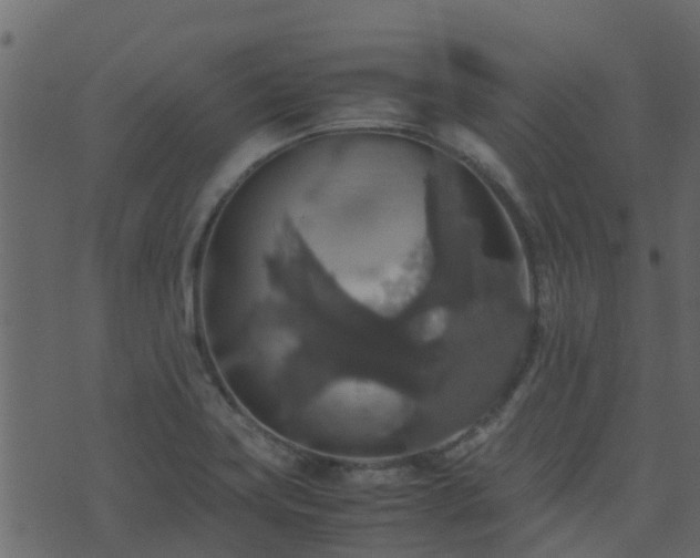 X0000071781419200606301209