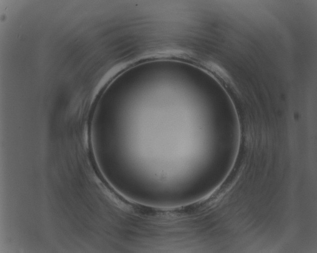 X0000071781420200606301209