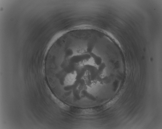 X0000071781421200606301209