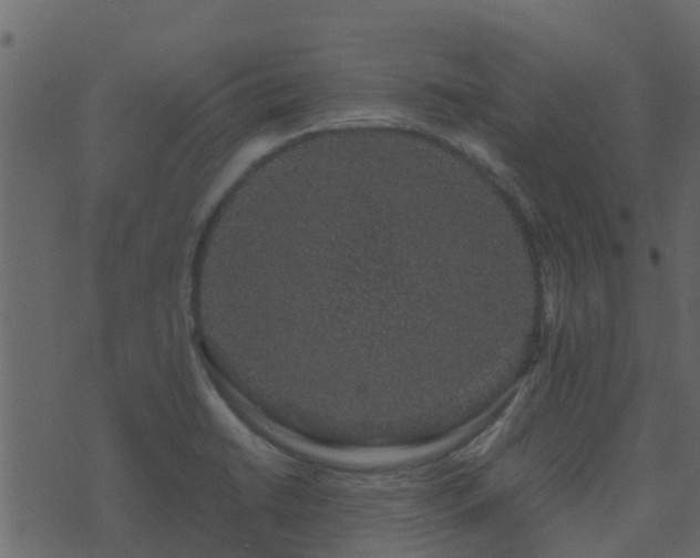 X0000071781422200606301209