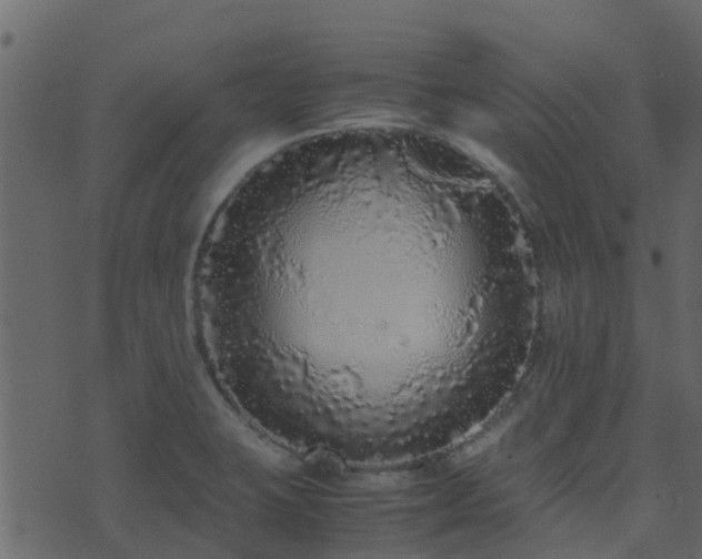 X0000071781423200606301209