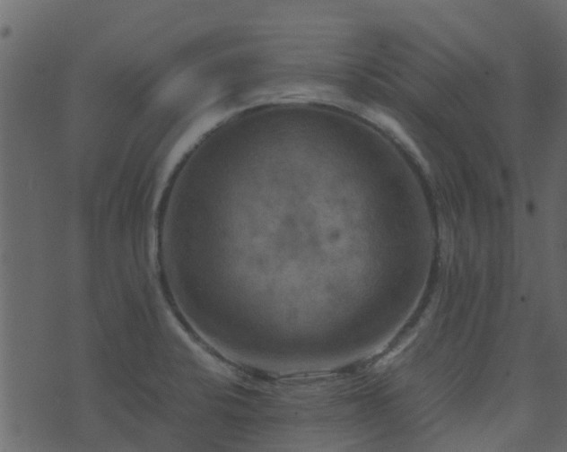 X0000071781424200606301209