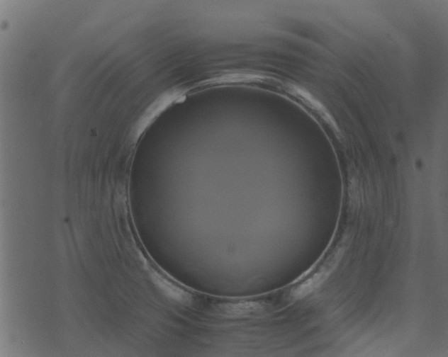 X0000071781425200606301209