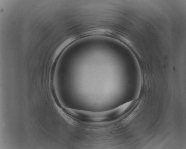 X0000071781426200606301209