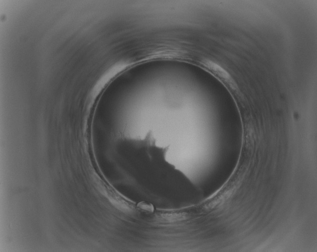 X0000071781427200606301209